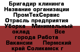 Бригадир клининга › Название организации ­ ПромТехСервис › Отрасль предприятия ­ Уборка › Минимальный оклад ­ 30 000 - Все города Работа » Вакансии   . Пермский край,Соликамск г.